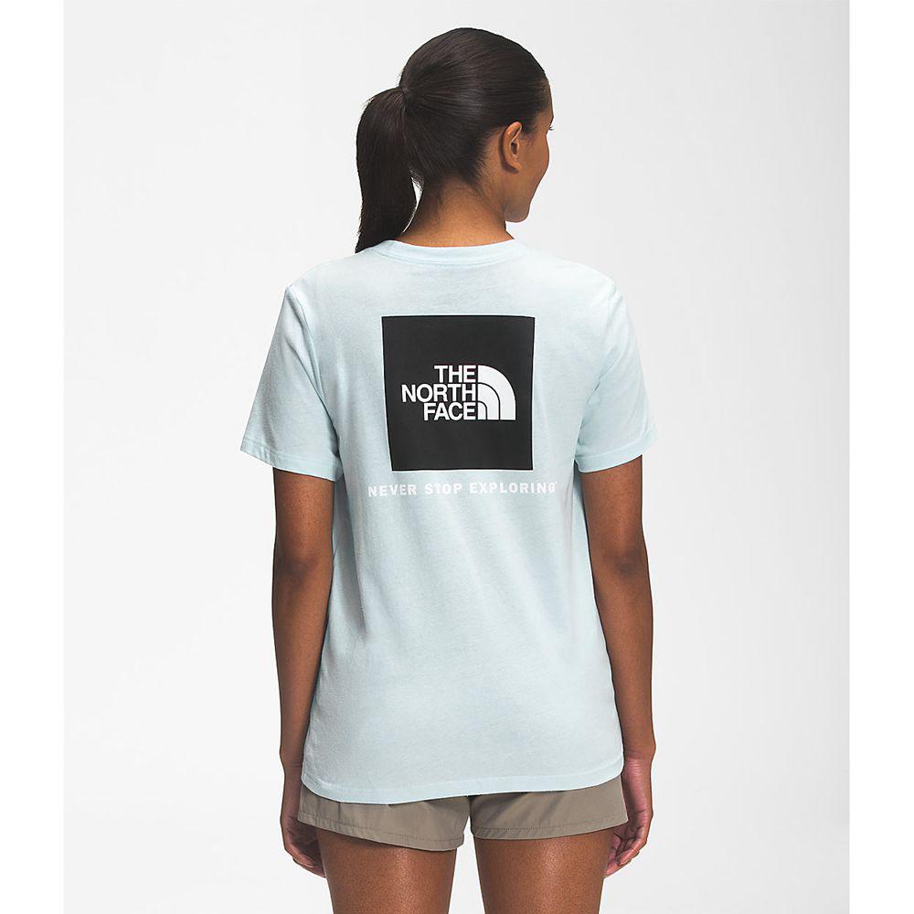 The North Face Κοντό Μανίκι Box Nse Γυναικεια T Shirt - Μπλε (NETH06127)